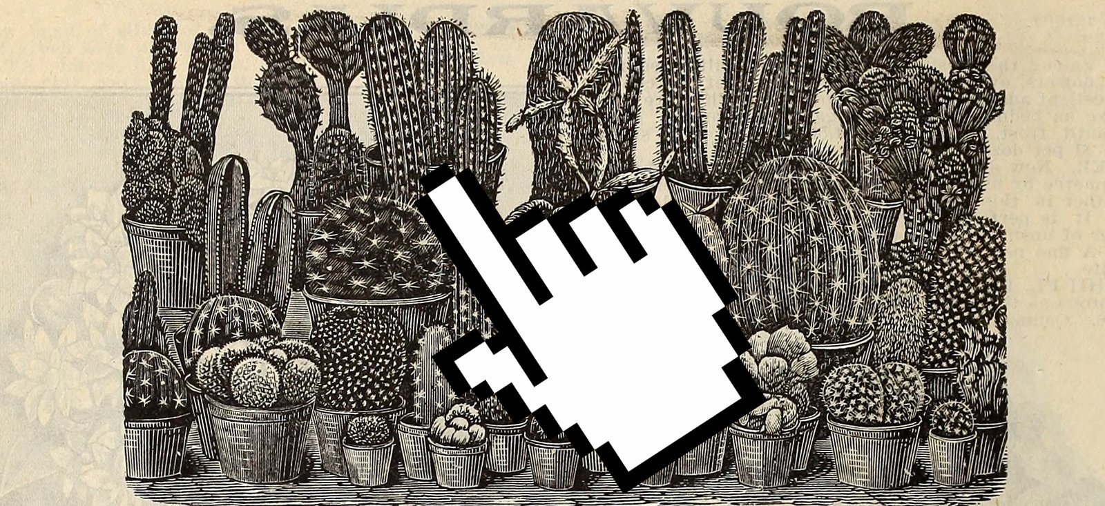 סמן יד מקליק על קקטוסים 🖼️ עידוק + הספר Illustrated catalogue of plants, seeds, bulbs and trees" (1896) (PD)