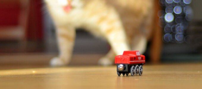 חתול ורכבת צעצוע 🖼️ anjakb (cc-by-nc-nd)